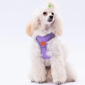 Gögüs Tasması Lila Air Mesh 2XS paw-a10