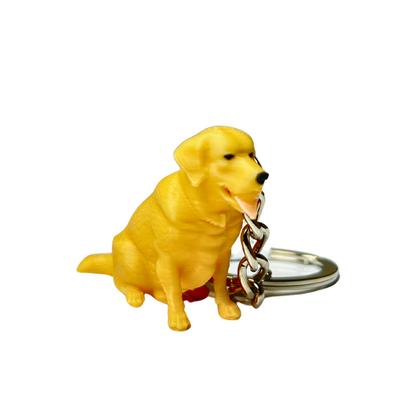 Golden Retriever PLA000258