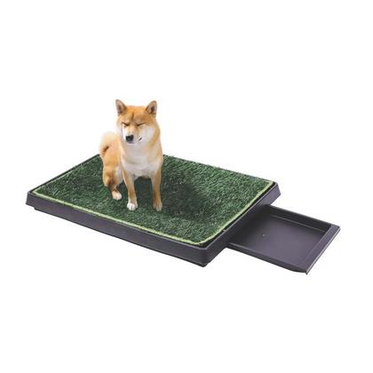 Grass Mat Çimli Çekmeceli Köpek Tuvaleti (XL) 50x76CM Brsp-10177999