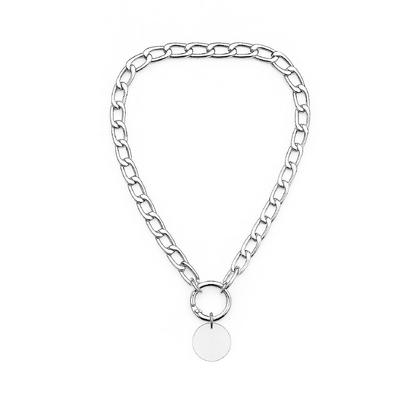 Gümüş Zincir Kedi Ve Köpek XL Beden 55cm 