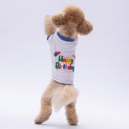 Happy Birthday Sweat 2XL YPAW-24733