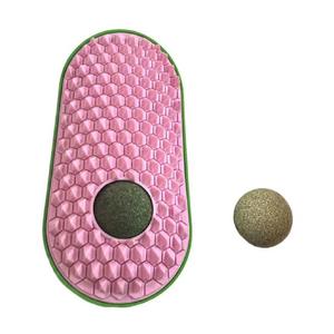 Kediler İçin Kaşıma Aparatlı Catnipli Yalama Taşı HG-3118