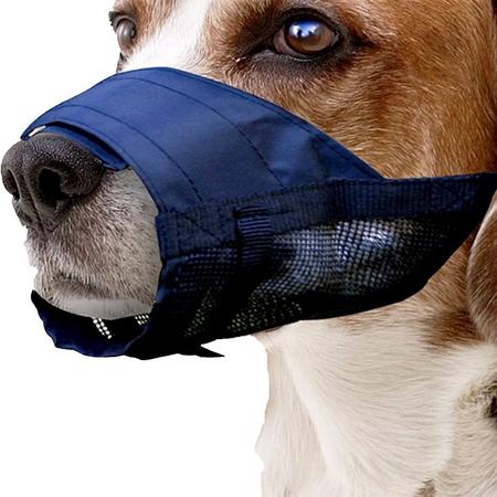 Kiwi 10402 Bez Köpek Ağızlığı