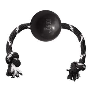 Kong Extreme Top İp Sallantılı Sesli Sert Plastik Köpek Oyuncağı adp-EB12E