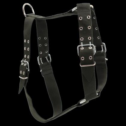 life miya- 115 KÖPEK BEL TASMA PALASKA YEŞİL krmp