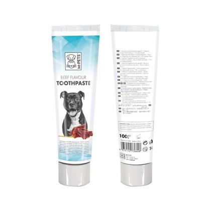 Köpekler İçin Biftek Aromalı Diş Macunu 100 GR Brsp-10118099