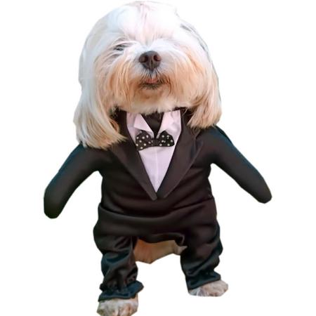 Köpekler için Smoking (S) Beden