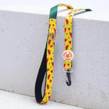 L32-Watermelon Sevk Kayışı