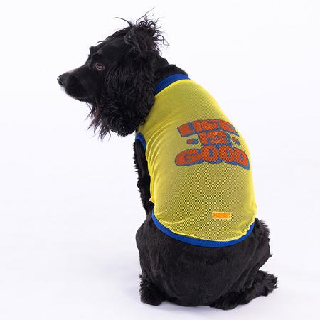 Life Mesh Tişört 2XL YPAW-23838