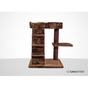 lotus Doha 2 sütunlu Merdivenli Tırmalama Kahve