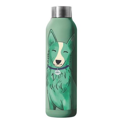 M-Pets Petjoy Purrfect Luna Termos 500ml Green brsp-60003299 