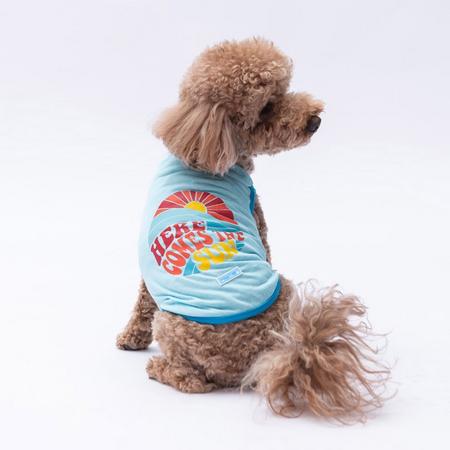Mavi The Sun Tişört 2XL YPAW-24832