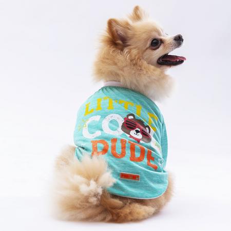 Mint Dude Sweat XL YPAW-24720