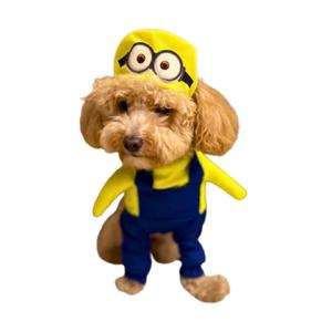 Minyonlar Kostüm (S) Beden