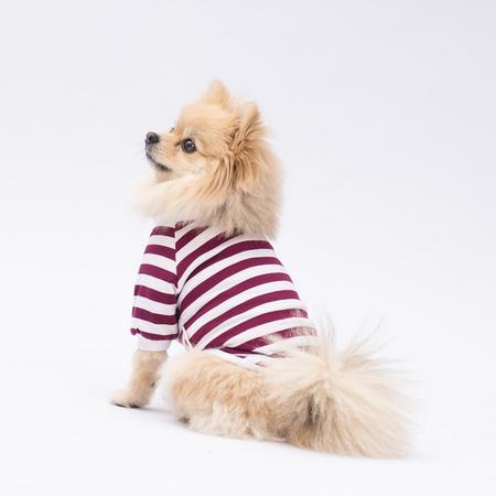Mor Piglet Sweat XL YPAW-25705