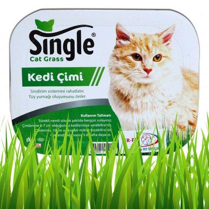 Natural Kedi Çimi HAS-9994