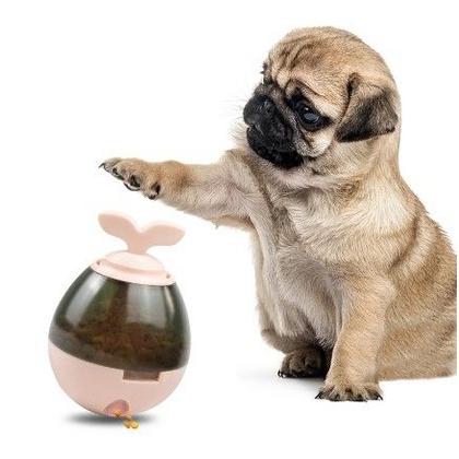 Mama Hazneli Kedi ve Köpek Eğitim Oyuncağı HAS-3092