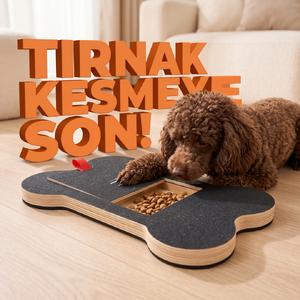 Ödül Bölmeli Köpek Tırnak Törpüsü
