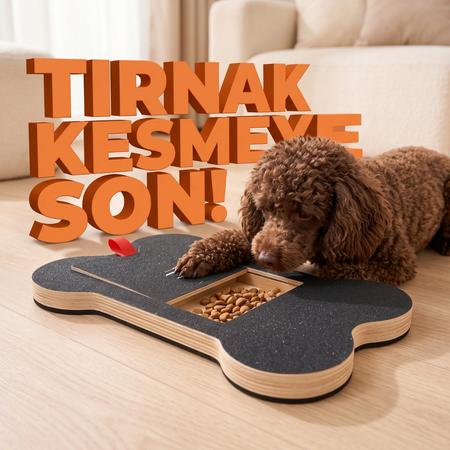 Ödül Bölmeli Köpek Tırnak Törpüsü