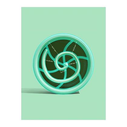 Pakeway Köpekler İçin Seramik Yavaş Yeme Kabı-6041