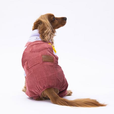 paw- 22917 Burgundy Salopet Tulum Kadife S Beden