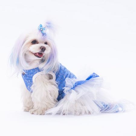 PAW--24308 MAVİ PRİMAVERA ELBİSE  XL