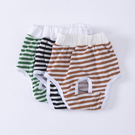 paw- Çamaşır Underwear  Çizgili 2 Numara 23062