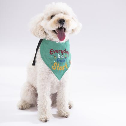 paw- köpek fular size 3 (L beden ) karışık renklerde gönderilecektir