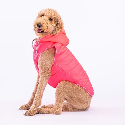 paw-23156 neon fuşya railway büyük ırk yelek 4XL beden