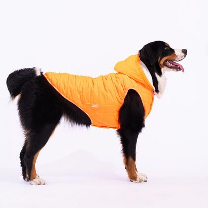 paw-23157 neon turuncu railway büyük ırk yelek 4XL beden