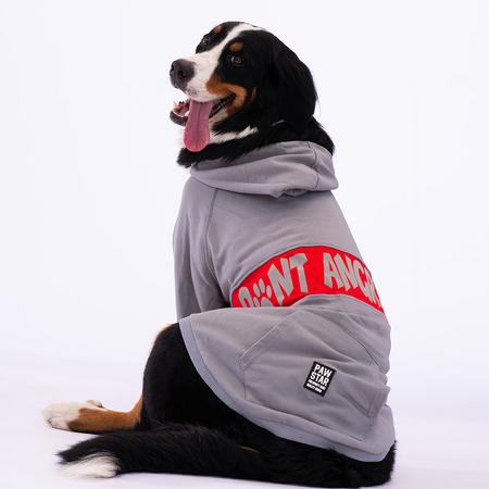 paw-23251 gri angry dog büyük ırk ceket 7XL beden