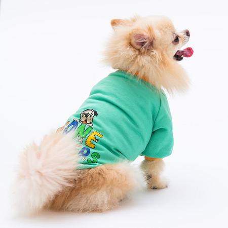 paw-23719 mint bone hunter sweat L beden
