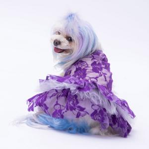 Mor Rosa Elbise l YPAW-24304 