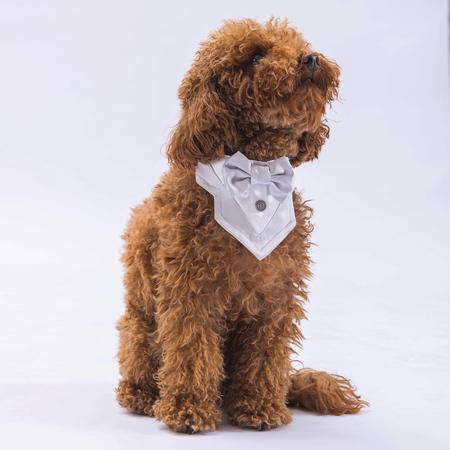 PAW-FS2 GRİ SMOKİN FULAR SİZE:1