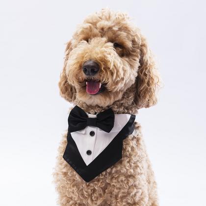 PAW-FS3 SİYAH SMOKİN FULAR SİZE:2