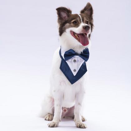 PAW-FS4 Lacivert Smokin Fular SİZE:1