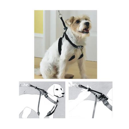 Dog Training XS (3/4"x9-12") Eğitim Tasması