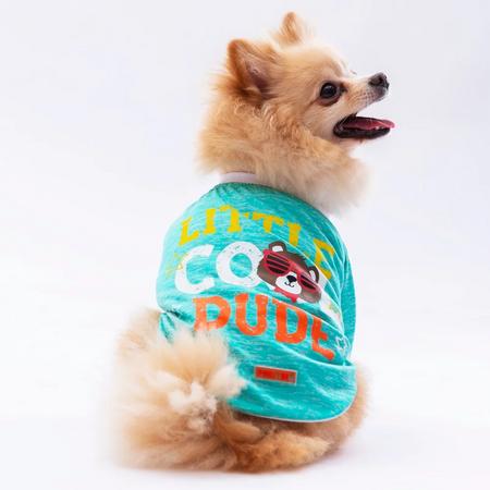 24720 Mint Dude Sweat 2XL Beden