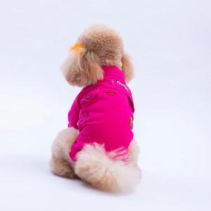 25210- Fuşya Cancún Pop Ceket 2XL