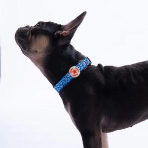 Charm Boyun Tasması M Beden - DC38