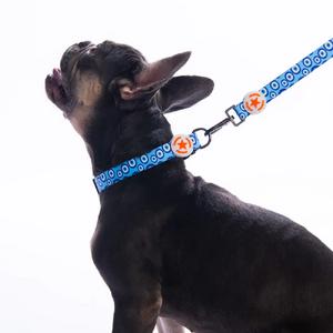 Charm Boyun Tasması S Beden - DC38