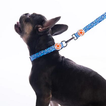 Charm Boyun Tasması S Beden - DC38