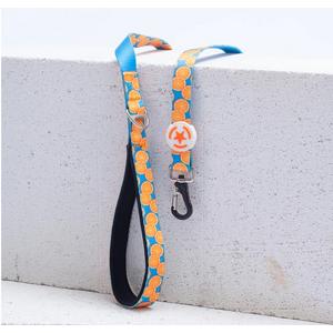 Pawstar Citrus Sevk Kayışı L37