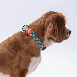 Ducks Boyun Tasması M Beden - DC28