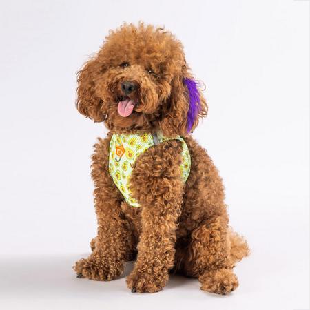 Pawstar Gögüs Tasması Avocado Air Mesh S paw-a21