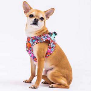 Pawstar Gögüs Tasması Balloons Air Mesh L paw-a20