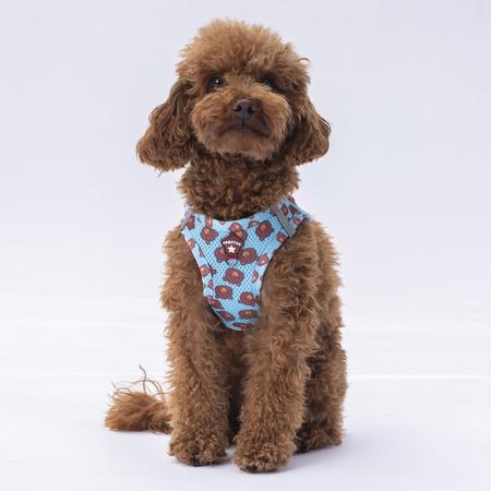 Pawstar Gögüs Tasması Bears Air Mesh 2XS Paw-A27