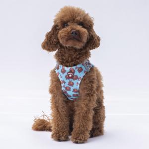 Pawstar Gögüs Tasması Bears Air Mesh L paw-a27