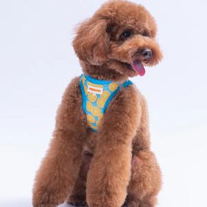 Göğüs Tasması Citrus Air Mesh S Paw-A37