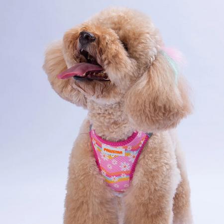 Göğüs Tasması Daisy Air Mesh L Paw-A35
